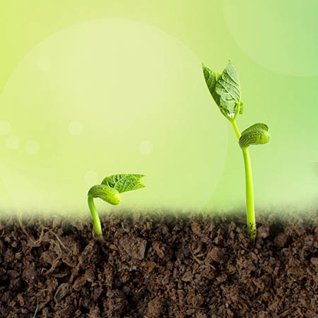 益植生植物源生物有机肥让土壤更健康